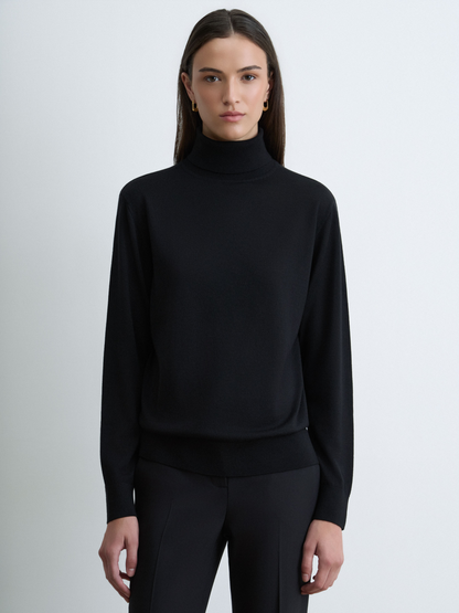 Extrafine Merino Wool Turtleneck