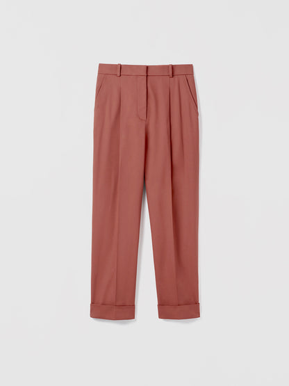 Terracotta pants on a light gray background